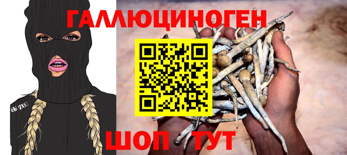 Трёхгорный  Псилоцибиновые грибы Psilocybe  где купить наркотик  Вход с VPN 